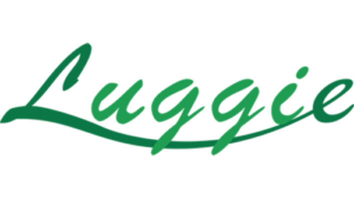 luggic brand